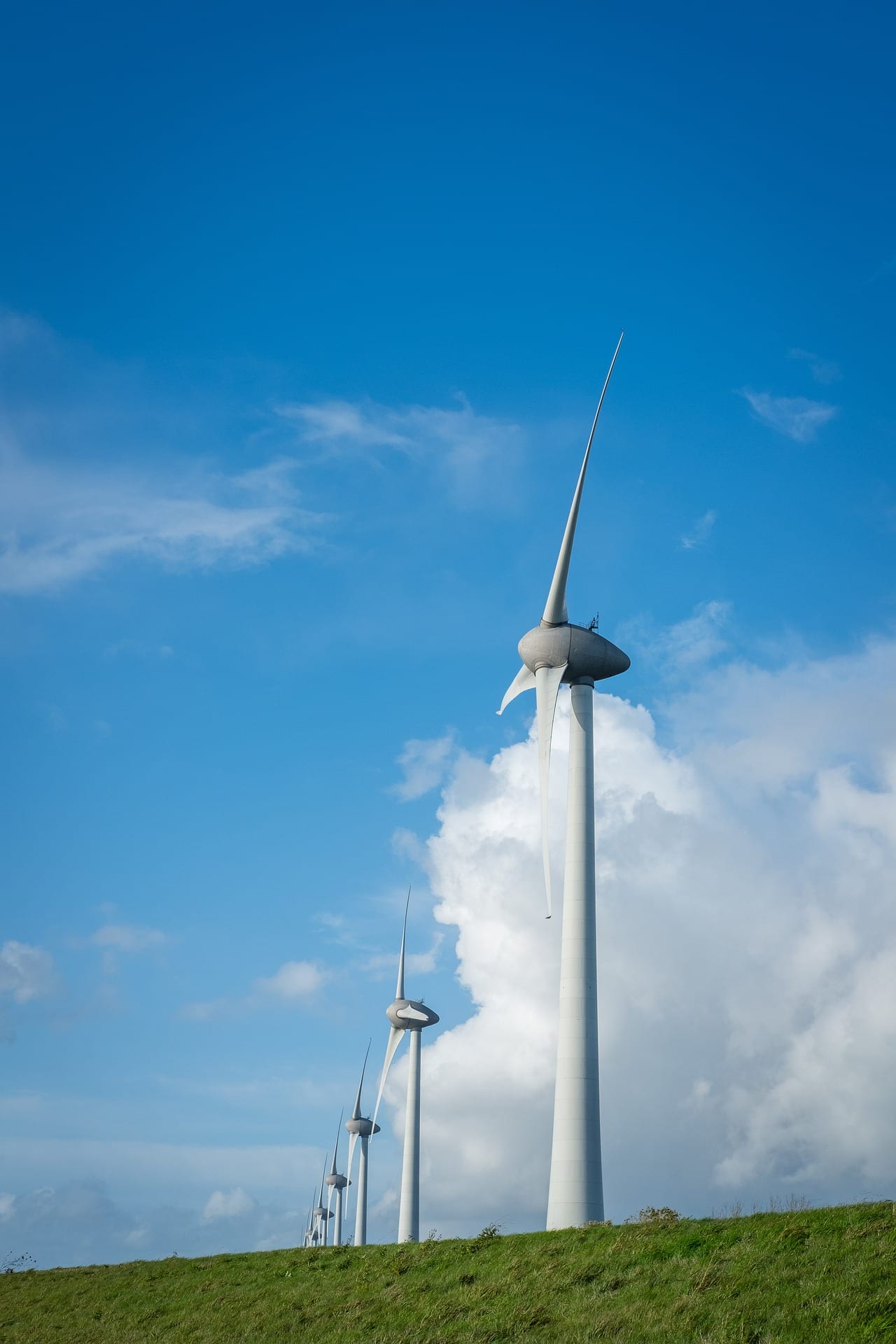 Erneuerbare Energie