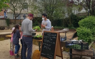 Mai´21 – erstes Gemüse auf dem Markt