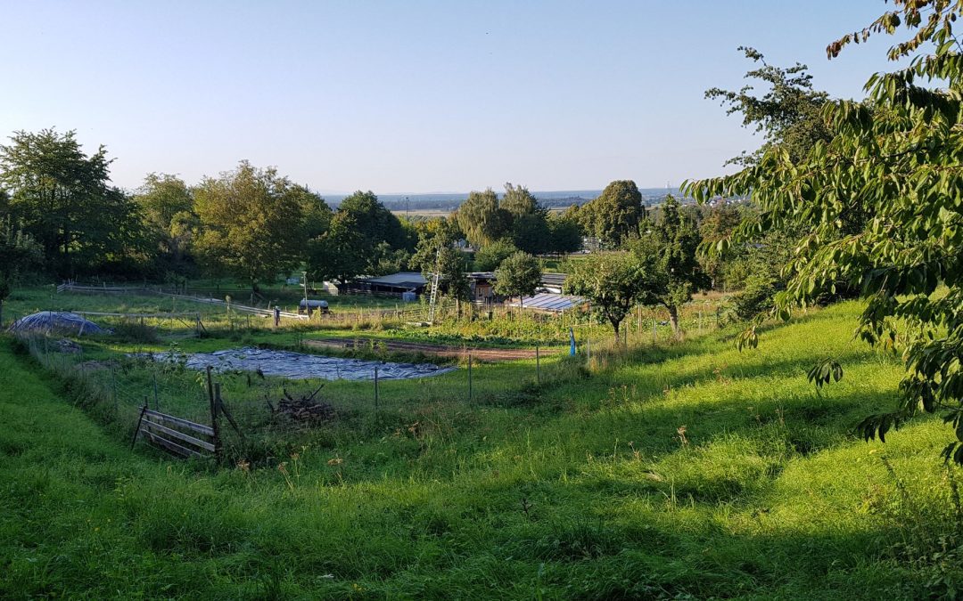 Hochsommer und Herbst auf dem Hof