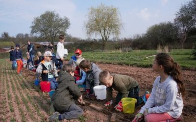 Gemeinschaft für Naturbildung und Naturschutz